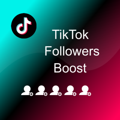 TikTok Followers Boost Service