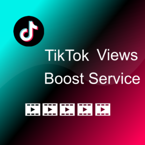 TikTok Views Growth Package